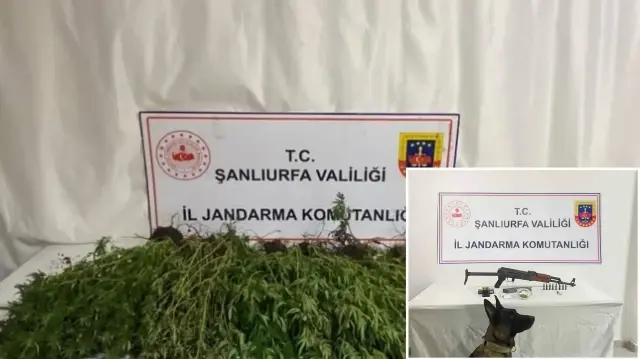 Jandarma ekipleri tarafından tespit edilen şüpheli şahıslar hakkında adli işlemler başlatıldı.