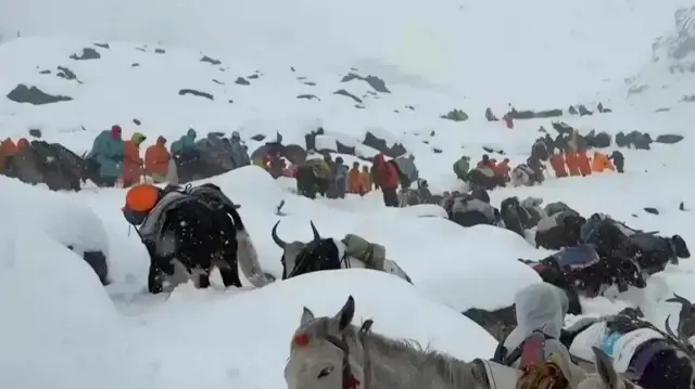 ریسکیو کی کوششوں کی ایک تصویر