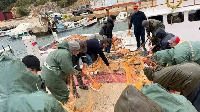 Ağları dolan balıkçılar, uzun yıllar sonra ilk defa bu kadar yoğun bir şekilde kefal avladıklarını söyledi.