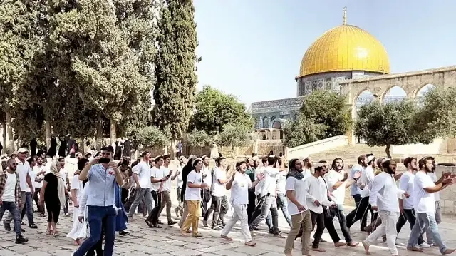 537 مستوطنا يقتحمون الأقصى ويؤدون رقصات استفزازية أمام قبة الصخرة