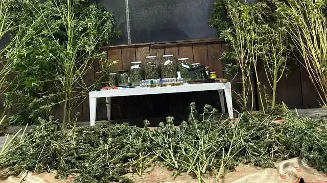 Jandarma, olayla ilgili inceleme başlattı.