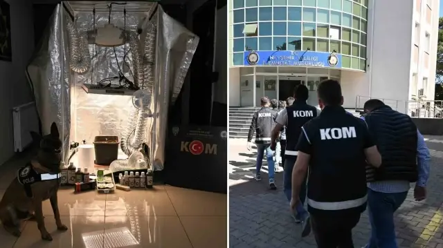 Test sonuçlarına para karşılığı müdahale