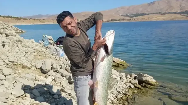 Turna balığı