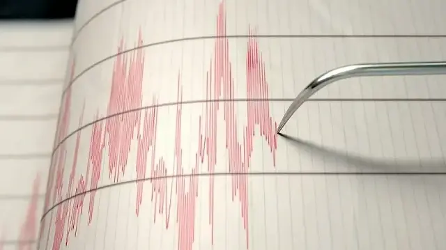 4.9 Magnitude Earthquake Strikes Western Türkiye's Kütahya Province