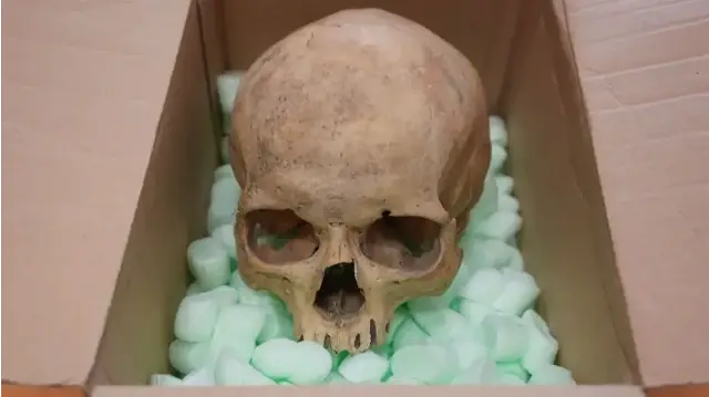 Немец вернул украденный 60 лет назад череп собору в Вене.