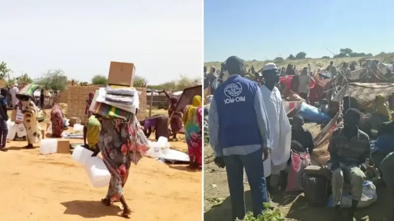 BM Uluslararası Göç Örgütü