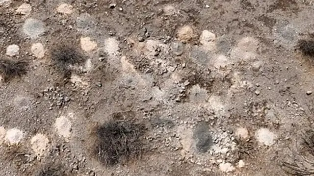 Таинственная находка в Неваде: сотни кремированных останков обнаружены в пустыне.