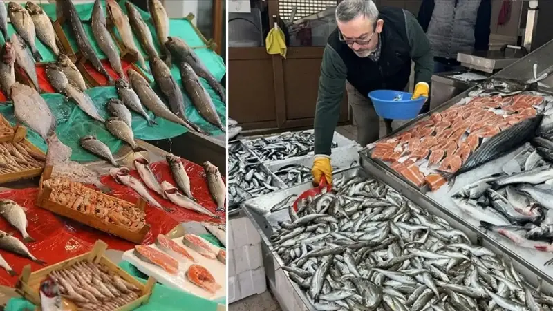 Halde iki aylık sürede 13 bin 923 ton balık satışa sunulurken, balıkçıların ağlarına en çok hamsi geldi.