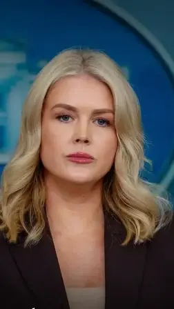  BBC "100% fake news" 