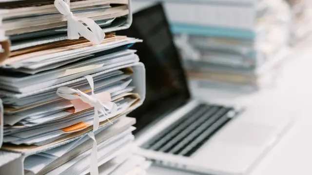 KÜÇÜKÇEKMECE BELEDİYESİ SOSYAL HİZMETLER MÜDÜRLÜĞÜ