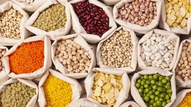 صادرات تركيا من الحبوب والبقوليات تتجاوز 10 مليارات دولار