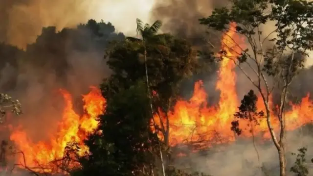 قنابل إسرائيلية تشعل حرائق كبيرة في بلدات جنوبي لبنان
