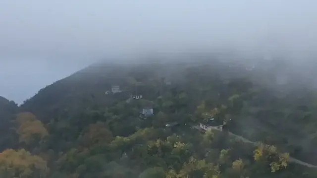 Tekirdağ’ın yüksek kesimlerinde sis kartpostallık manzara oluşturdu