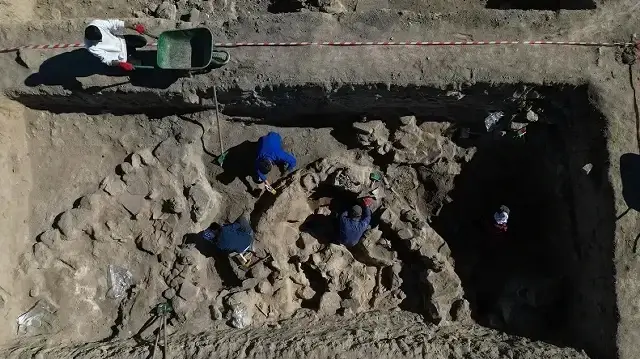 5,000-year-old barley grains discovered at Bronze Age site in Türkiye