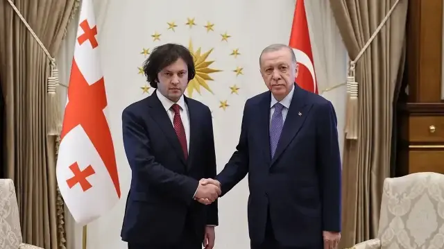 أردوغان يبحث مع كوباخيدزه جهود الإنقاذ المتعلقة بالطائرة المنكوبة