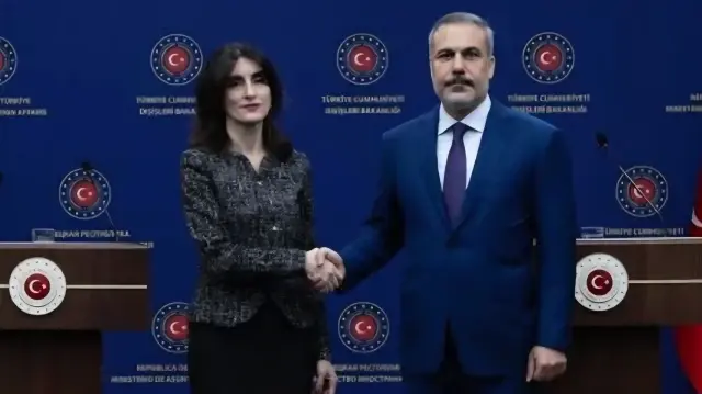 فيدان يبحث مع نظيرته الجورجية جهود العثور على حطام الطائرة المنكوبة