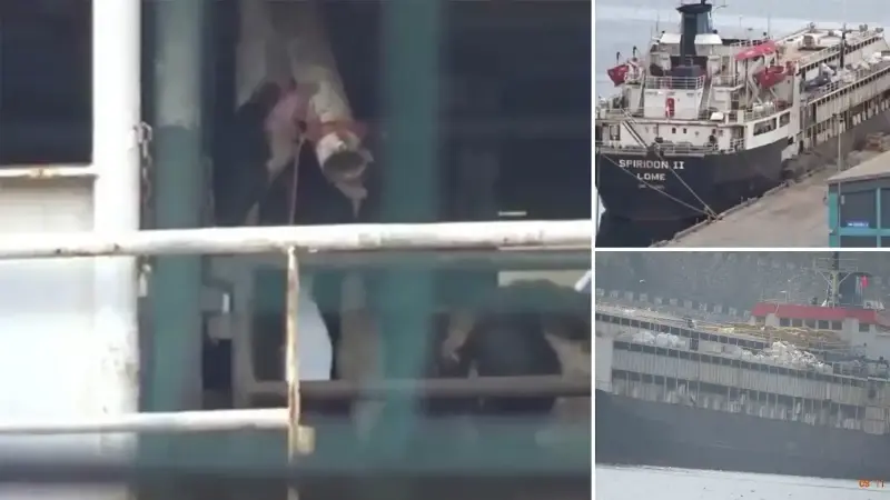 Bandırma açıklarında demirli gemiden yayılan yoğun kötü koku ve sinek istilası, çevre sakinlerinin tepkisine neden oldu.