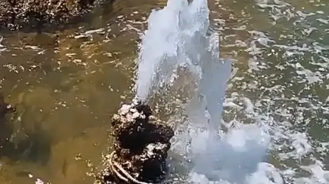 Van'da şaşırtan manzara: Sodalı gölde tatlı su fışkırıyor