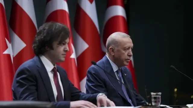 Erdogan, Georgian PM coordinate after Türkiye plane crash