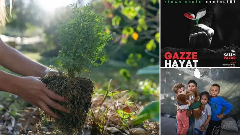 16 Kasım’da Arnavutköy’de ağaç dikme seferberliği başlıyor.