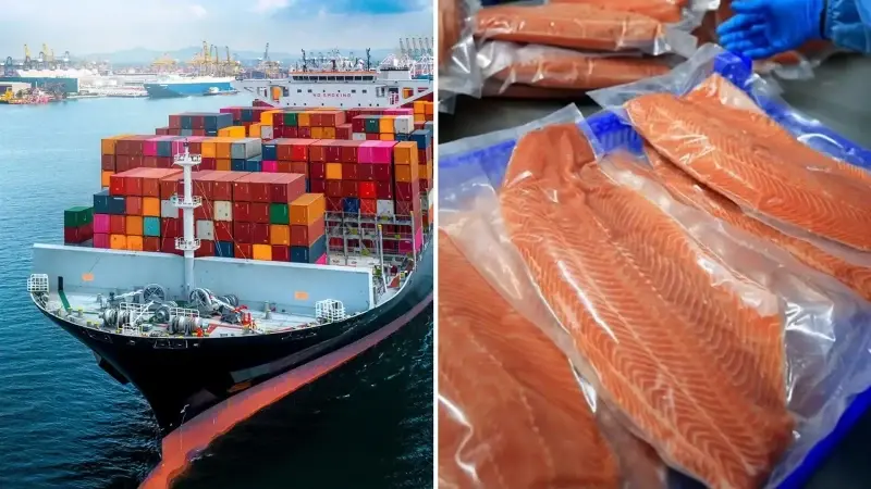 Doğu Karadeniz'in 10 aylık Türk somonu ihracatı 152 milyon doları aştı