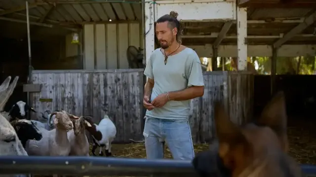 Израильские солдаты страдают от психологических травм после геноцида в Газе.