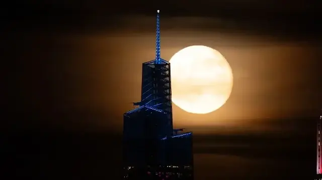 ‘Kunduz Ayı’ New York semalarında büyüledi