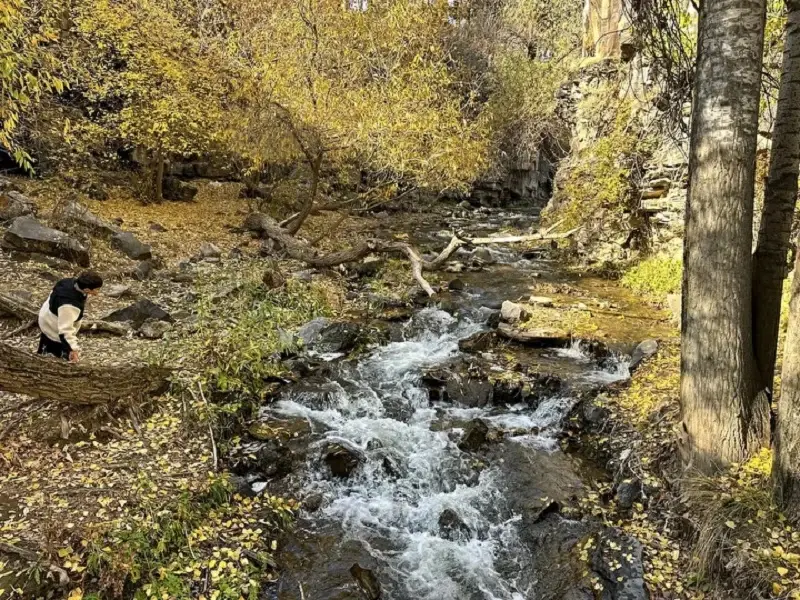 <p><strong>Professional Photography Perspectives</strong></p><p><br></p><p>Nature photographer Recep Dağ confirmed he and colleagues are documenting what he described as "autumn's visual feast" at the waterfall location. "Muradiye Waterfall works wonders in autumn too," Dağ stated, adding an invitation for others to witness the natural spectacle personally. Fellow photographer Mehmet Burak Aydemir noted they capture the waterfall's distinctive scenery throughout all seasons, with autumn providing particularly unique photographic opportunities due to the dramatic color transformations in the surrounding environment.</p>