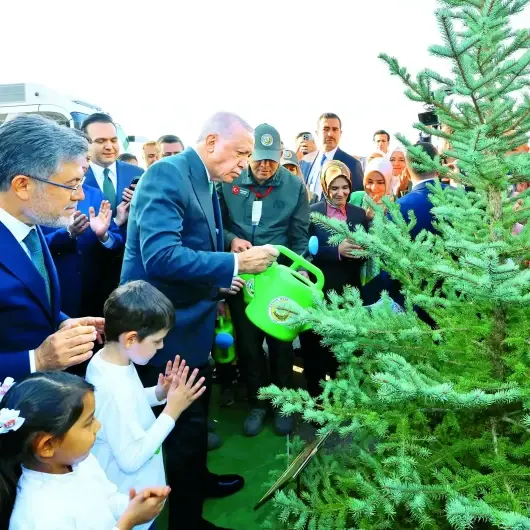 Bir yılda 600 milyon fidan