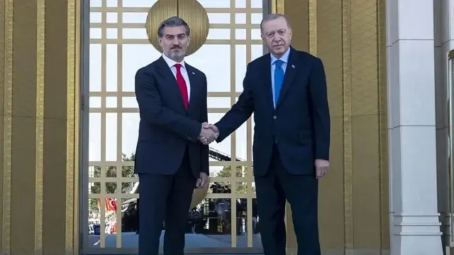 أردوغان ونظيره الجورجي يبحثان جهود الكشف عن ملابسات تحطم الطائرة 
