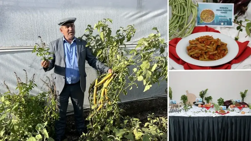 “Coğrafi İşaret Seferberliği” kapsamında, coğrafi işaret tesciliyle yalnızca yöresel tatlar değil, el emeğiyle üretilen kültürel değerler de koruma altına alınıyor.