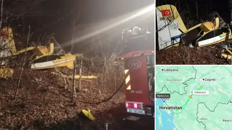 Hırvatistan'da düşen uçağın enkazı.
