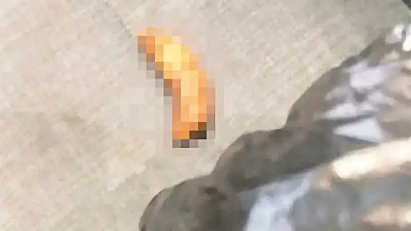 Polis ekipleri, makam koltuğu ve masasındaki dışkı ve idrarları görüntülerken, görevlilerin ifadeleri alındı.