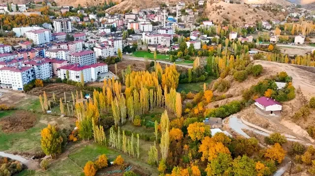 Bitlis’in Hizan ormanları sonbaharın büyüleyici renklerine büründü