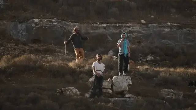 Сбор оливок на Западном берегу стал испытанием для палестинцев.
