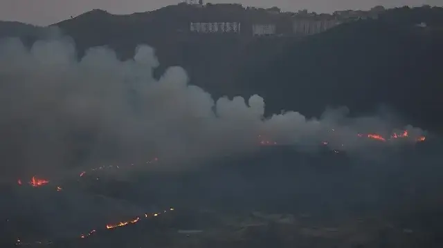 Algeria battles 22 forest fires across eight provinces amid heatwave