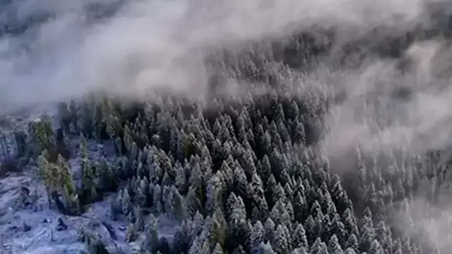 Sarıçiçek Yaylası’nda kar ve sis etkili oldu