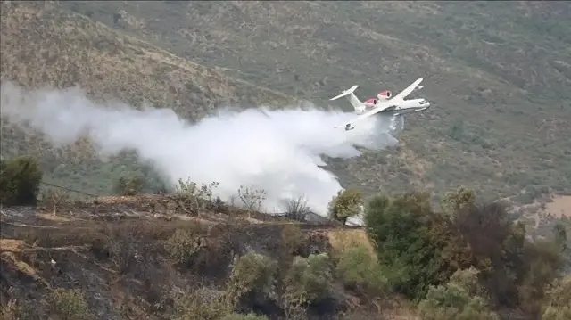 الجزائر تعلن إخماد كافة حرائق الغابات