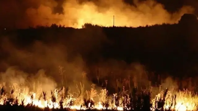 Algeria contains widespread wildfires after days of intense blazes