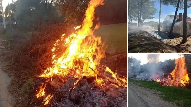 Muğla'nın Milas ilçesinde yangın