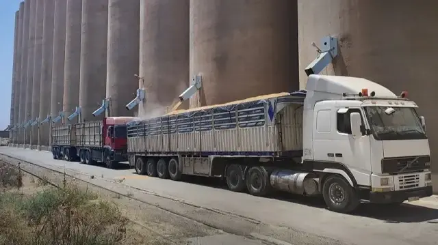 سوريا.. وصول أكثر من 134 ألف طن قمح قادمة من روسيا وأوكرانيا