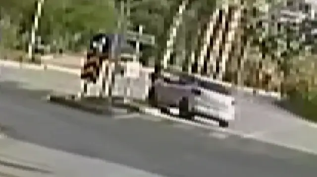 Antalya'da acemi sürücü şoförlük eğitimi yaparken refüjdeki palmiyeyi devirdi