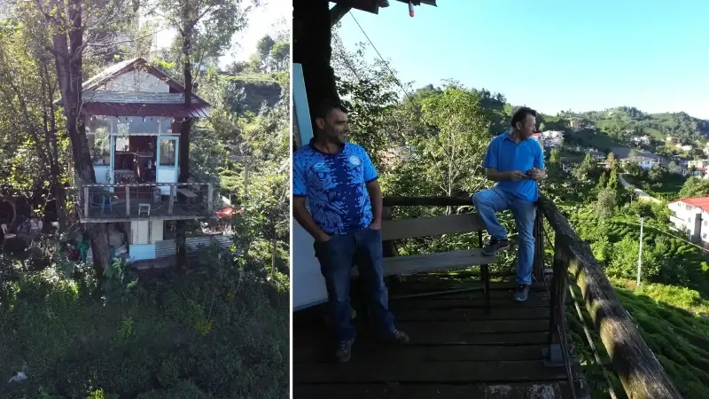 10 metre yükseklikte çay keyfi: İki kardeşin hayali gerçek oldu! Atık malzemeden manzaralı ağaç ev yaptılar 