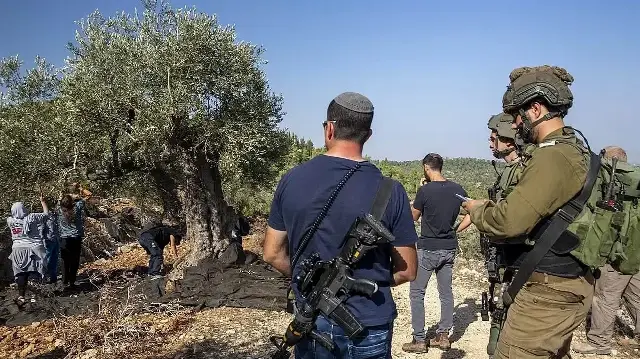 Израильские силы задержали активистов, направлявшихся на помощь палестинским фермерам.
