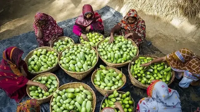 Для ликвидации голода к 2030 году необходимо всего $93 млрд в год.