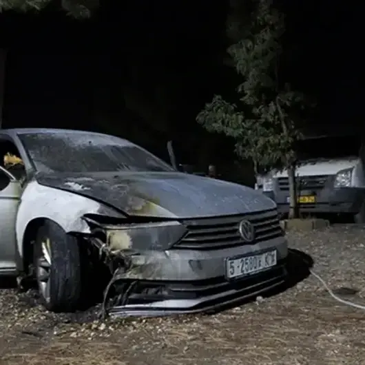 مستوطنون يجددون اعتداءاتهم على ممتلكات فلسطينية بالضفة