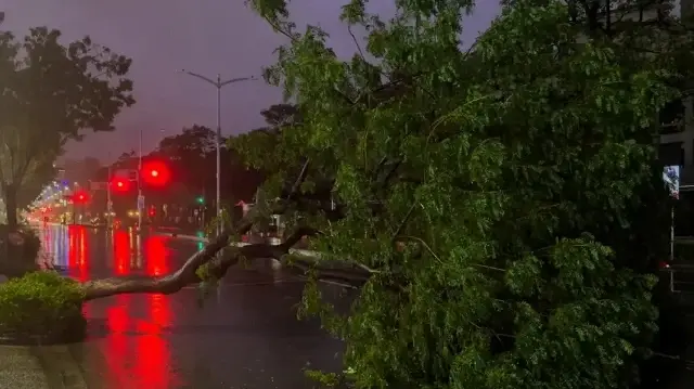 Philippines braces for Typhoon Tino, suspends school, work and sea travel