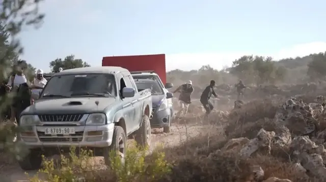 11 Palestinians wounded in West Bank settler attacks during olive harvest