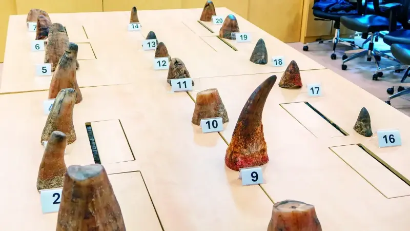 800 bin dolarlık kaçakçılık önlendi