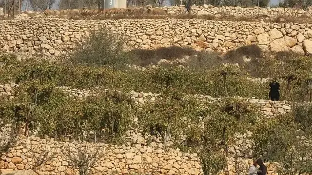 الاحتلال يعتزم الاستيلاء على 1800 دونم من أراض فلسطينية بالضفة